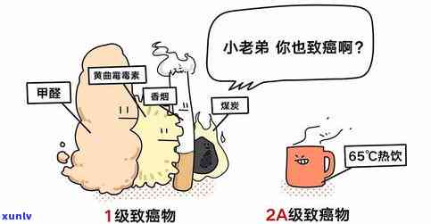 喝热茶与食道癌风险：有科学依据吗？