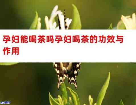 孕妇可以喝浓茶吗孕早期，孕期饮食指南：孕早期是不是适合饮用浓茶？