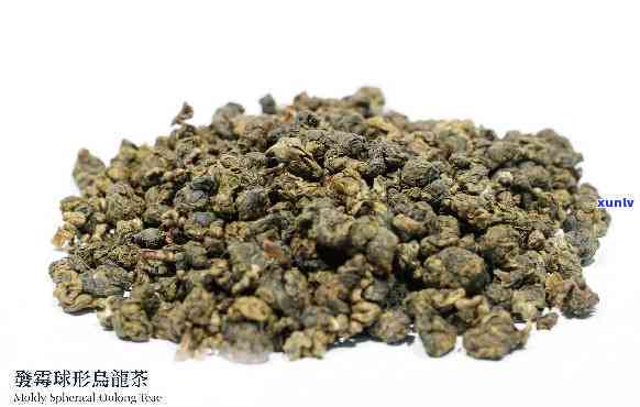 茶长白毛了还能喝吗-茶长白毛了还能喝吗图片