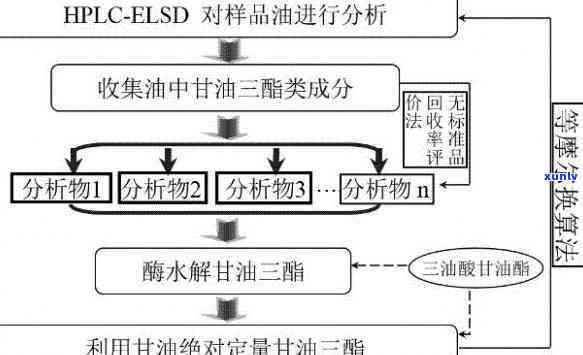 甘油明胶的组成比例，探究甘油明胶的组成比例及其应用