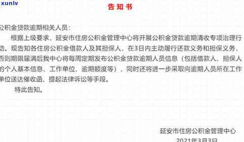 逾期交费怎么办，逾期未交罚款怎么办？解决方案全在这里！