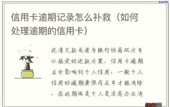 信用卡逾期了情况说明补救措-信用卡逾期了情况说明补救措怎么写