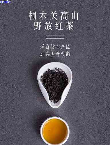 桐木关武夷红茶价格，揭秘桐木关武夷红茶市场价格，让你不再被高价忽悠！