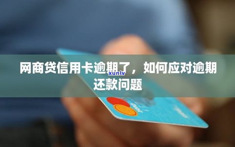 网商贷还款逾期5小时，会否作用信用？解决办法是什么？