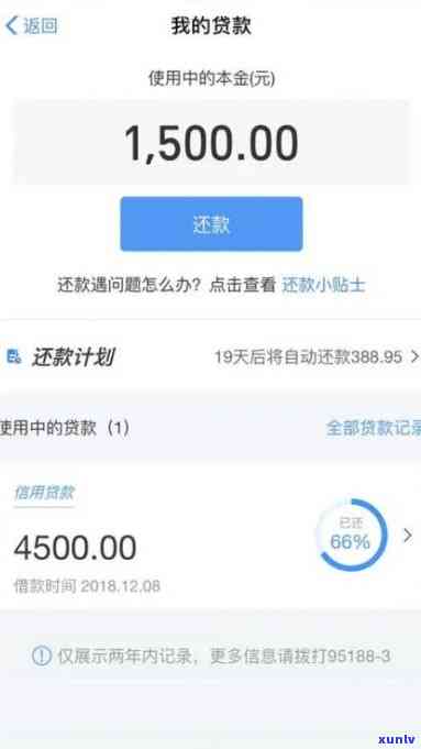 支付宝网商贷逾期两天后还有额度吗？可能会被影响！