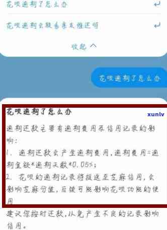 支付宝借呗逾期3小时的作用是什么？