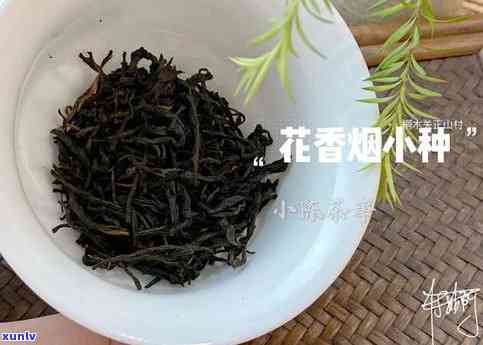 老丛野生红茶，探寻原始味道：老丛野生红茶的魅力