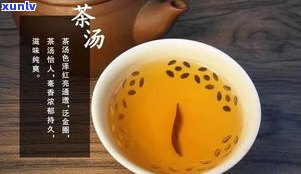 英德红茶有多少号品种及规格？