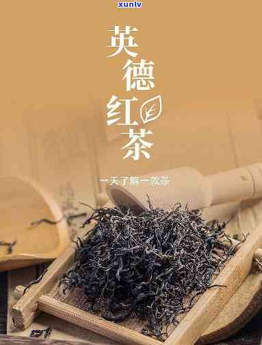 英德红茶哪个节好-英德红茶哪个节好喝