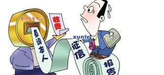 网贷逾期政策，深入熟悉网贷逾期政策：作用、结果和应对措