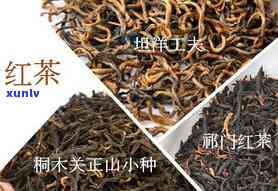 红茶哪个地方产的好-红茶哪个地方产的好喝