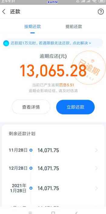 下关老树生态圆茶2015与2014年产品开对比