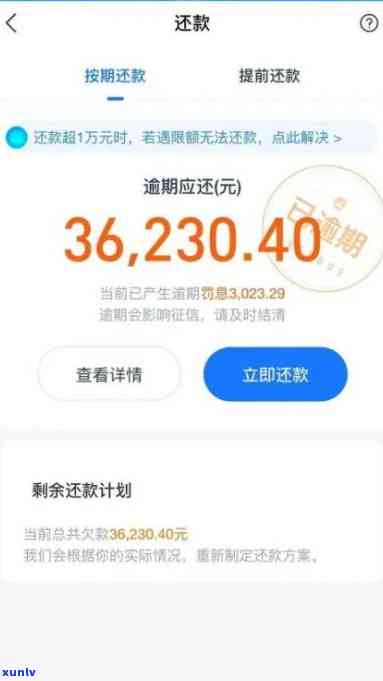 支付宝借呗逾期怎么提示？界面详解