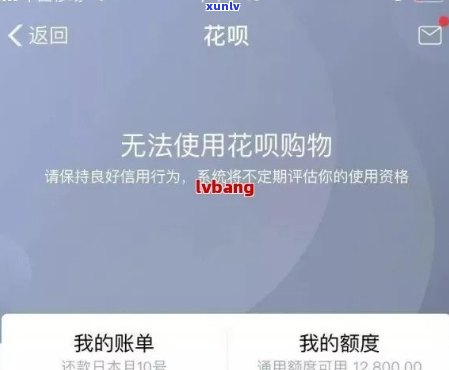 支付宝花呗逾期有什么提示吗，支付宝花呗逾期的警示标志是什么？