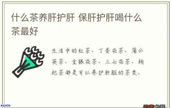 养肝茶：白天喝还是晚上喝？时间是什么时候？