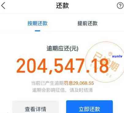 花呗怎样申请协商还款：期与金额全攻略