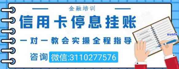 什么茶可以清肝明目效果好？求推荐！