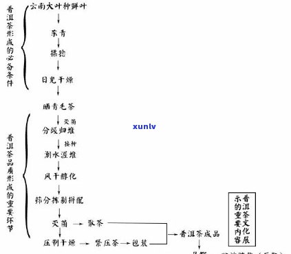 信记号普洱的由来，探秘信记号普洱茶的起源与演变