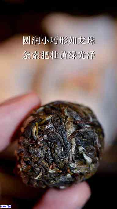 曼松龙珠是什么茶，「曼松龙珠」：探寻这款神秘的茶叶