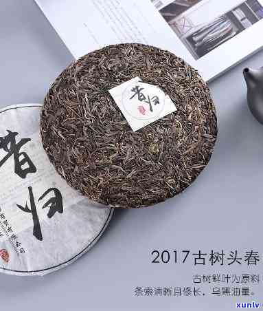 2017年昔归普洱-2017年昔归普洱茶