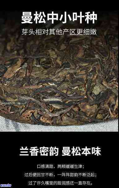 曼松金瓜生茶的功效-曼松金瓜贡茶