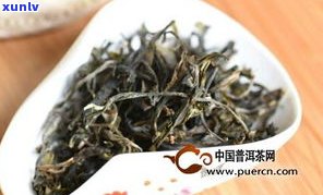 探秘曼松古树普洱茶：口感特点与价格解析