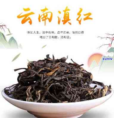 云南保山红茶，【特】云南保山红茶 纯正大叶种 高山原生态 50g*2罐 茶叶礼盒装 红茶 正品