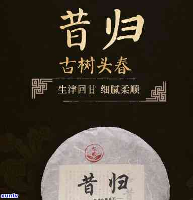 昔归园昔归紧压茶，品味历：探寻昔归园昔归紧压茶的故事