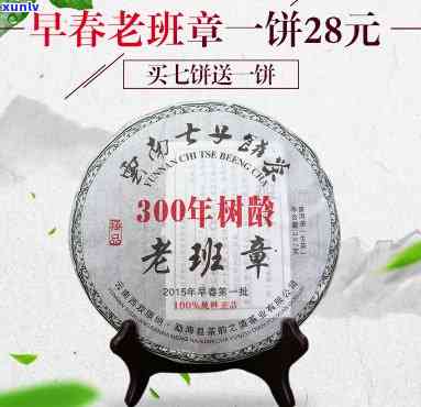 老班章古树茶31号-老班章300年古树茶