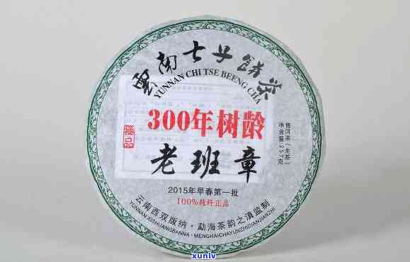 老班章古树茶31号-老班章300年古树茶