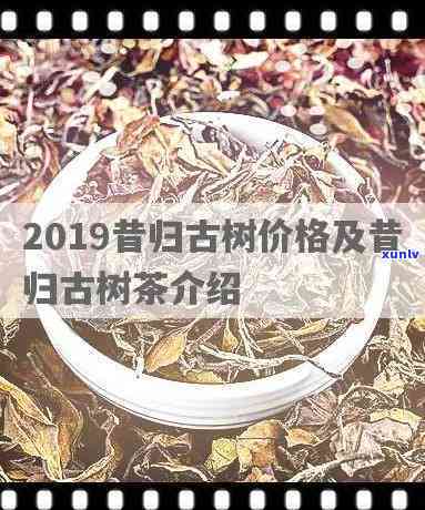 昔归2020、2019及2021年价格全览