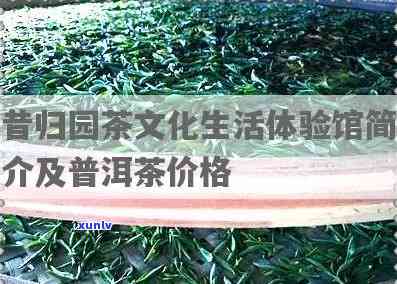 昔归园茶文化生活体验馆：了解昔归园简介及普洱茶价格