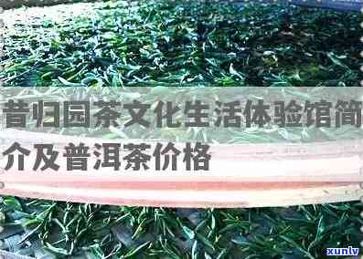 昔归园昔归紧压茶：官网与茶文化生活体验馆一网打尽