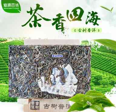 昔归茶砖价格，探寻昔日味道：昔归茶砖价格全解析