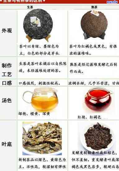 深入了解：生的红茶和熟茶的区别及特点