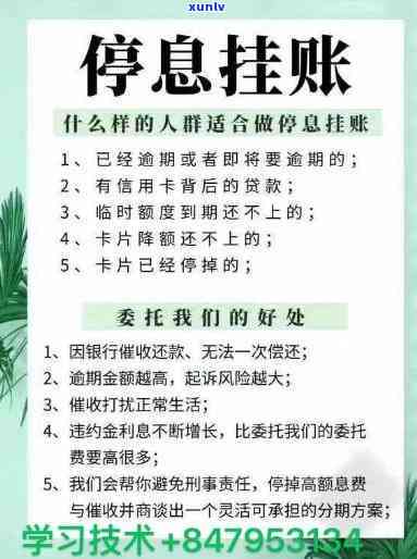 停息挂账怎么回事-停息挂账怎么回事啊