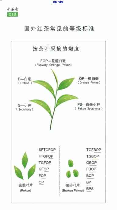 哪里出产的红茶？探究全球顶级红茶产地及其品质