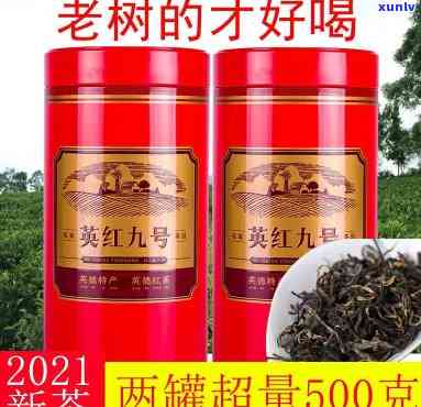 红茶哪个好？门、英红九号比较