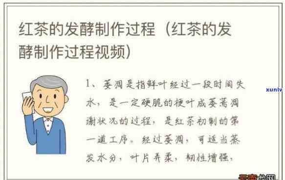 红茶 *** 全过程视频播放，揭秘红茶的 *** 过程：全程视频播放！