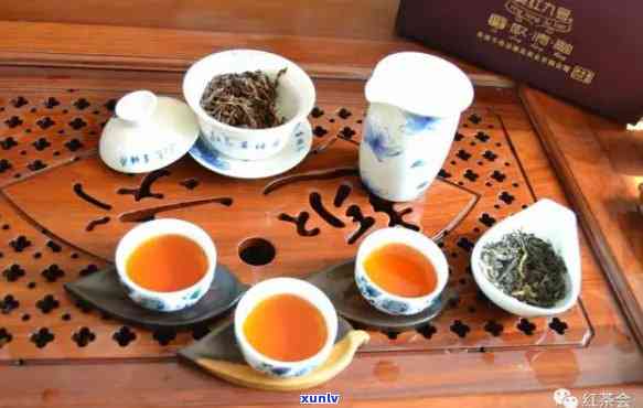 什么是红茶中的极品茶叶？解析其品种与特点