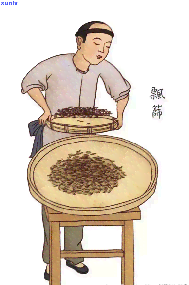 红茶为什么不用杀青呢？探讨红茶 *** 工艺的独特之处