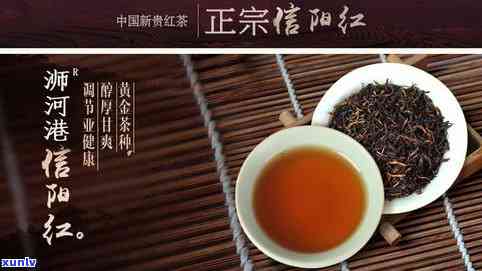 骏眉红茶是哪个地区-骏眉红茶是哪个地区的