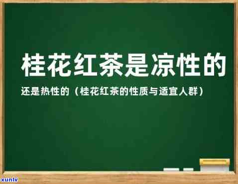 红茶属性：是凉性还是热性？