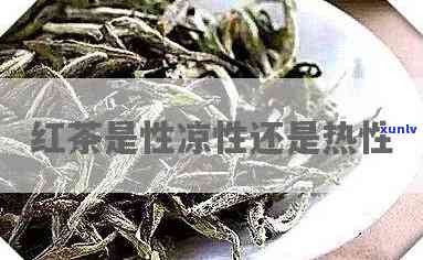 红茶属于什么性的是性的还是凉性，红茶是性还是凉性？探究其性质特征