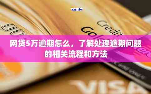 网商贷逾期怎么办网商贷逾期会不会上，网商贷逾期解决  及对个人信用记录的作用