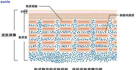 红茶为什么可以美容护肤，揭秘红茶的美容护肤功效，让你拥有健美肌！