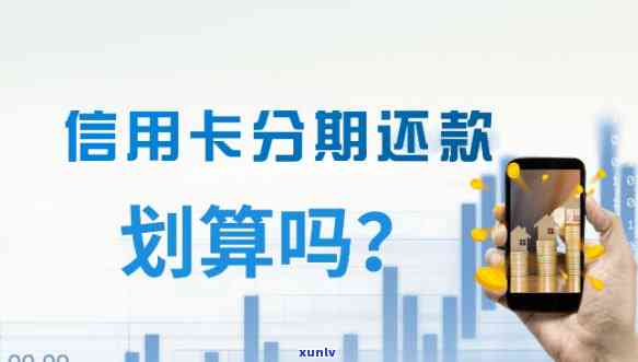 滨州冰岛茶饼经销商：哪些地方、和公司？怎样分辨好坏及市场价？