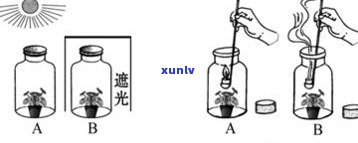 辽代六棱玛瑙珠子