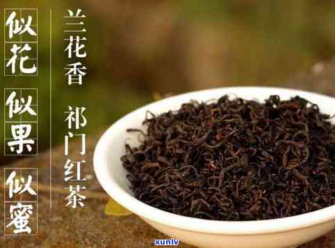 四春和红茶哪个好-四春和红茶哪个好喝