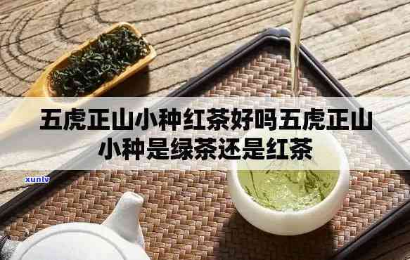 五虎茶叶是红茶吗？是红茶、绿茶还是白茶？